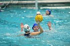 WWPolo vs CC  Wheaton College Women’s Water Polo compete in their sports inaugural match vs Connecticut College. - Photo By: KEITH NORDSTROM : Wheaton, water polo, inaugural